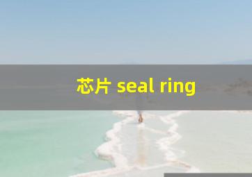 芯片 seal ring